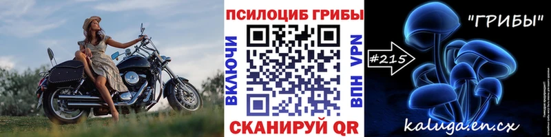 ссылка на мегу рабочий сайт  Нижнеудинск  Псилоцибиновые грибы GOLDEN TEACHER 