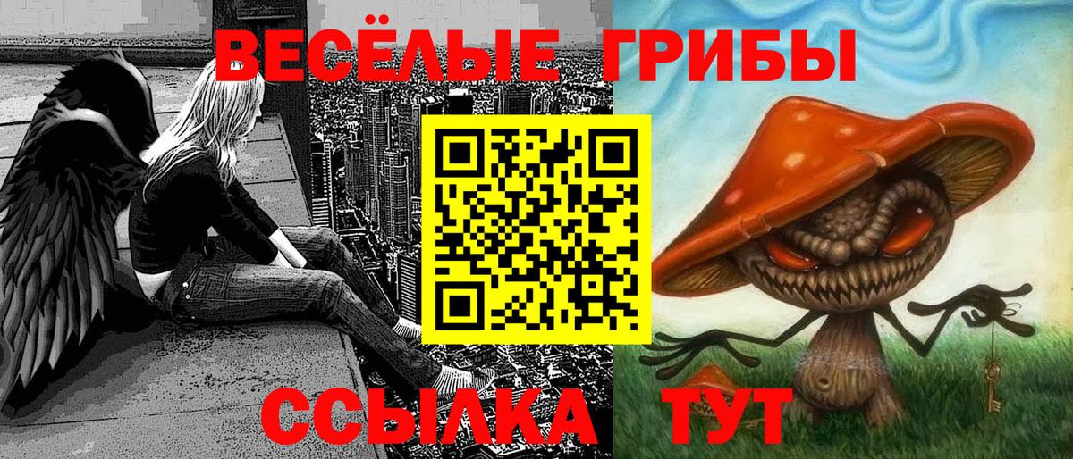 Псилоцибиновые грибы GOLDEN TEACHER  Вход с VPN  Нижнеудинск 